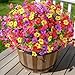 Alupssuc 24 Bundles Artificial Flowers for Outdoors Decoration, UV Resistant Silk Faux Daisy Flora Spring Fake Plastic Plants Greenery for Outside Indoor Yard Home Porch Window Box Decor, Mix 4 Colors