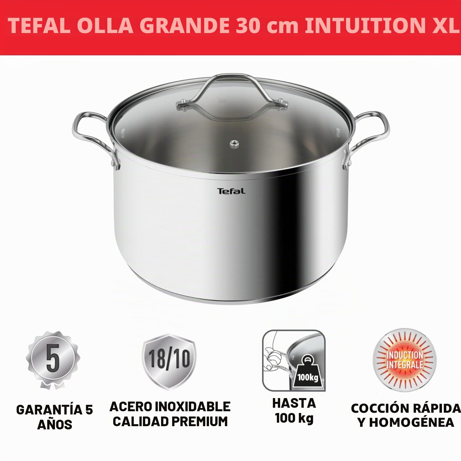 Tefal Intuition XL - Olla grande (acero inoxidable, 30 cm, 10 L, inducción, 5 años de garantía, acero inoxidable 18/10 de primera calidad, talla XL, asas resistentes, tapa de cristal B8646904