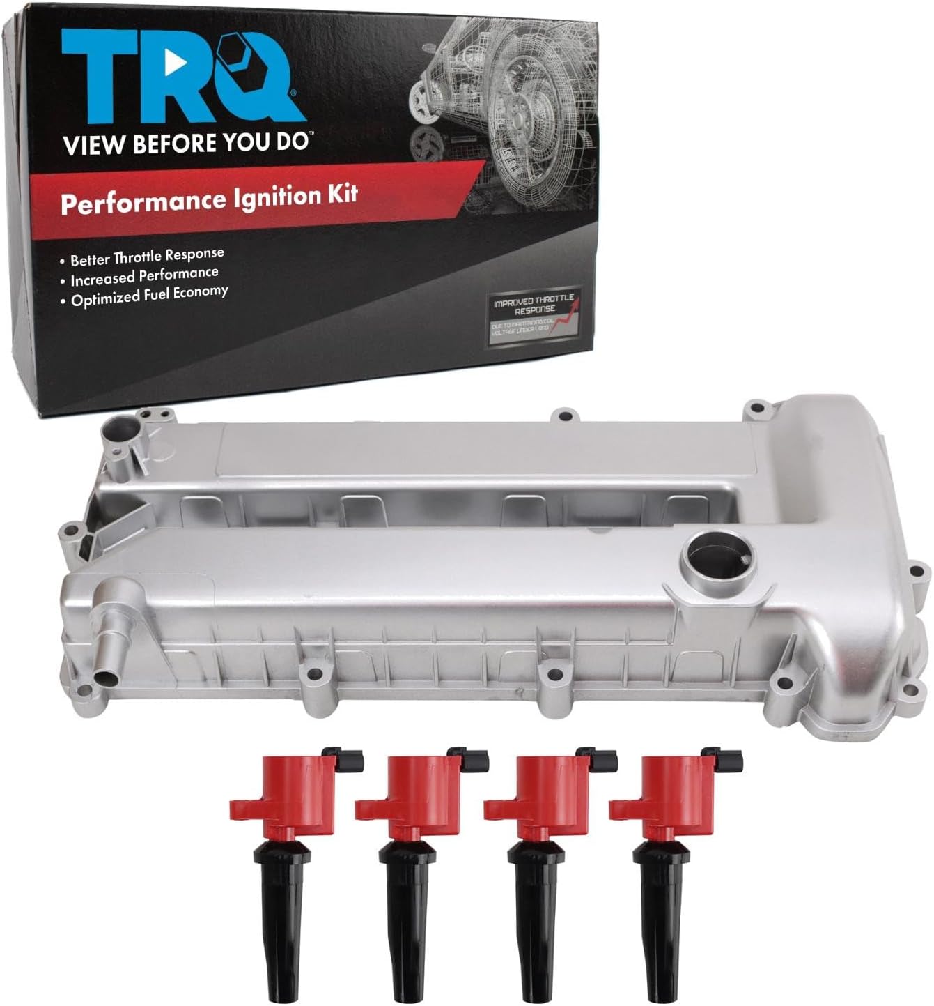 TRQ Ignition Kit Compatible with 2005-2008 Ford Escape 2005-2011 Focus 2010-2013 Transit Connect Mercury Mariner