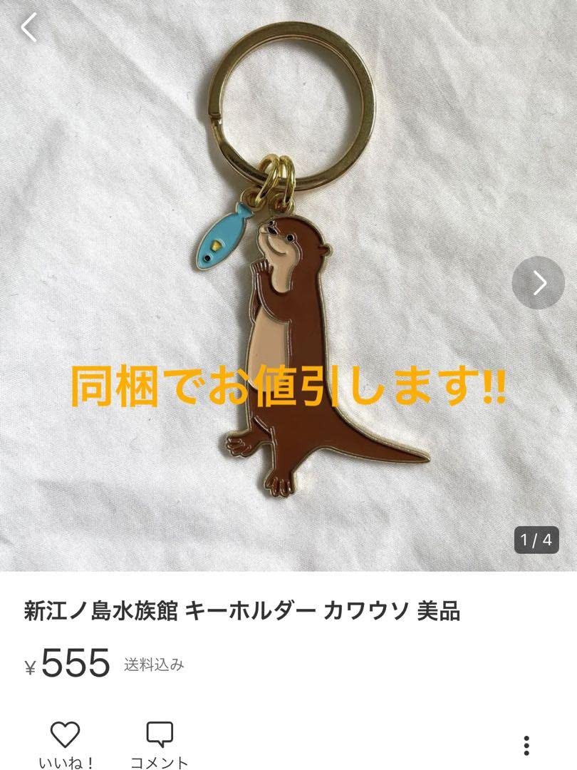 Amazon.co.jp: 江ノ島水族館 キーホルダー イニシャル