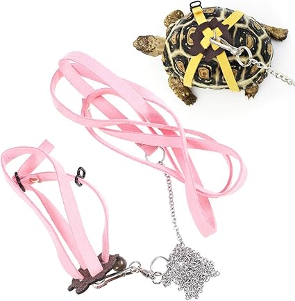turtle leash amazon
