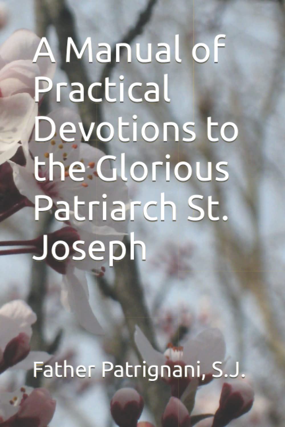 A Manual of Practical Devotions to the Glorious Patriarch St. Joseph