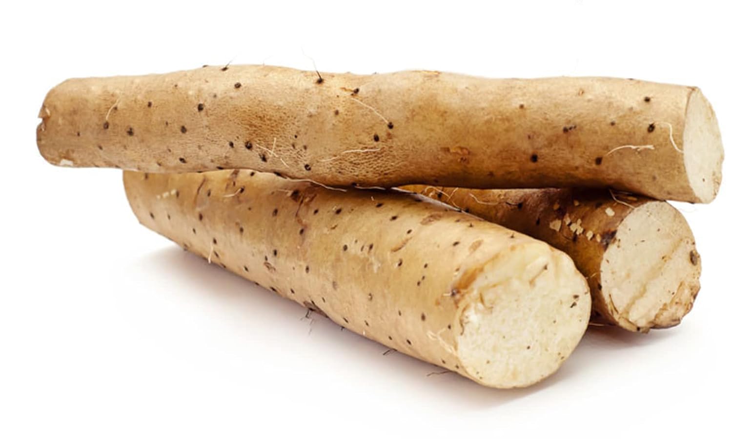 Organic Natural Pure Wild Yam Root Tea Bag- 50 Tea Bags (Biodegradable PLA Tea Bag Filters) - Image 4