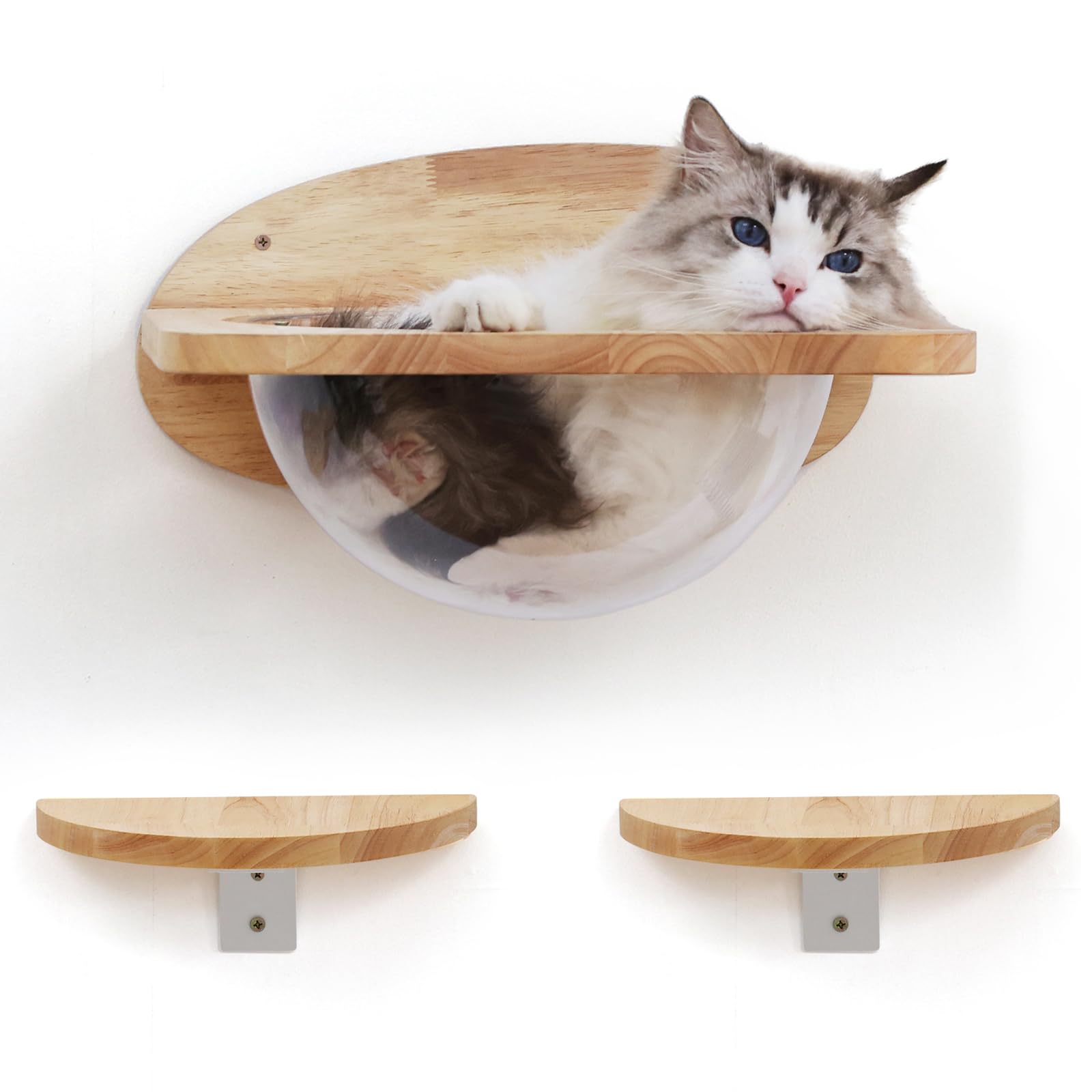 FUKUMARU Kit Parete per Gatti, Mensole da parete in Legno Massello, Cuccia a Capsula Trasparente, 2 Ripiani per Arrampicata, Spazio Multifunzionale per Scalare e Riposare. Portata 16KG.