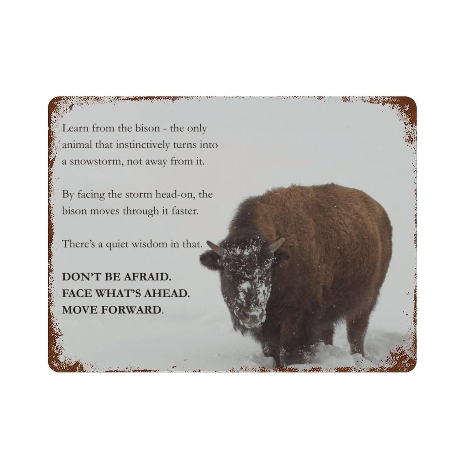 xiaoxiaoshen Facing The Storm Poster, Wild Boar Motivational Quotes, Courage And Resilience (3) Wall Decor Art Metal Tin Poster Modern Home Decor Art Home Bar Shop Decorations Vintage Sign 30x40cm