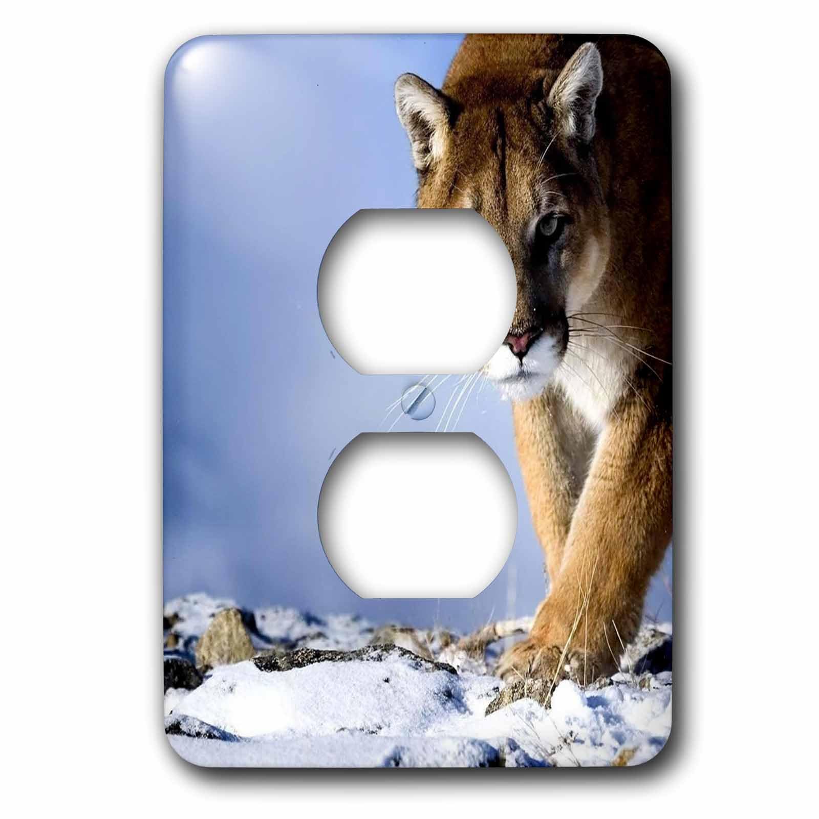 Cougar 2 prises plaque décorative salon nature sauvage 3dRose