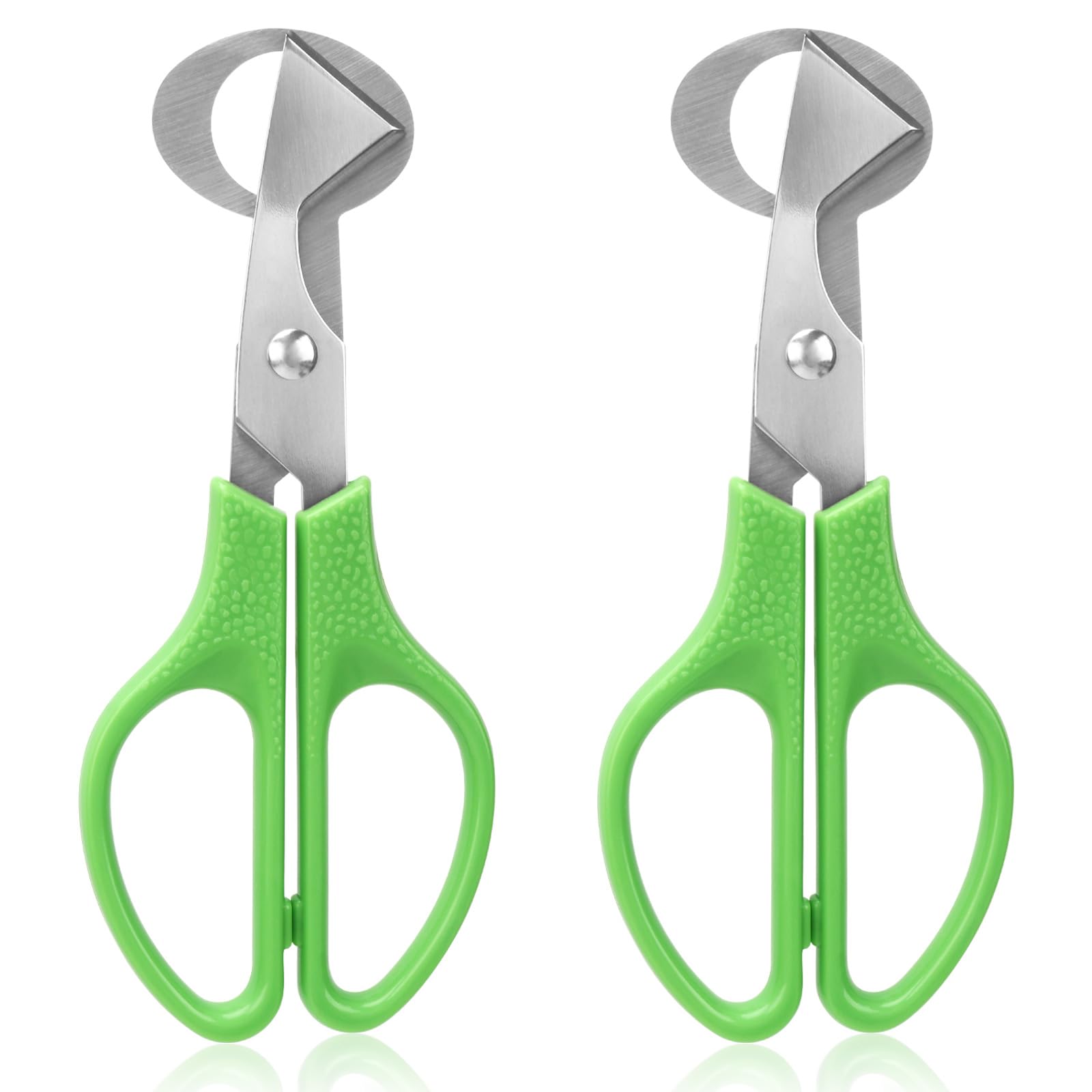 LYCXAMES Quail Egg Scissors, Quail Egg Scissors, Stainless Steel Egg Shells Cutting Scissors, Small Egg Scissors, Quail Eggs