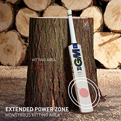 Image of GM Prima Bullet English Willow Short Handle Cricket Bat