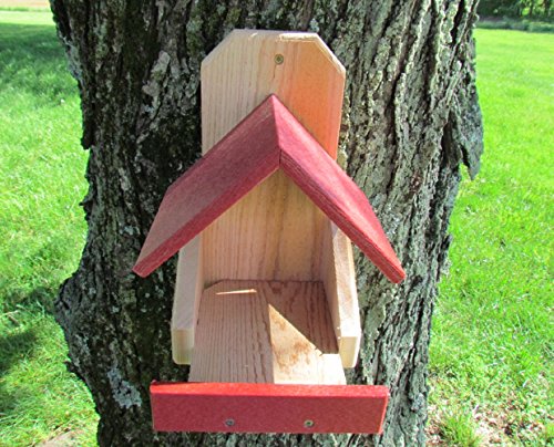 Jcs Wildlife Cedar Robin Roost Birdhouse With Recycled Poly Lumber Roof (Red) #TOP7