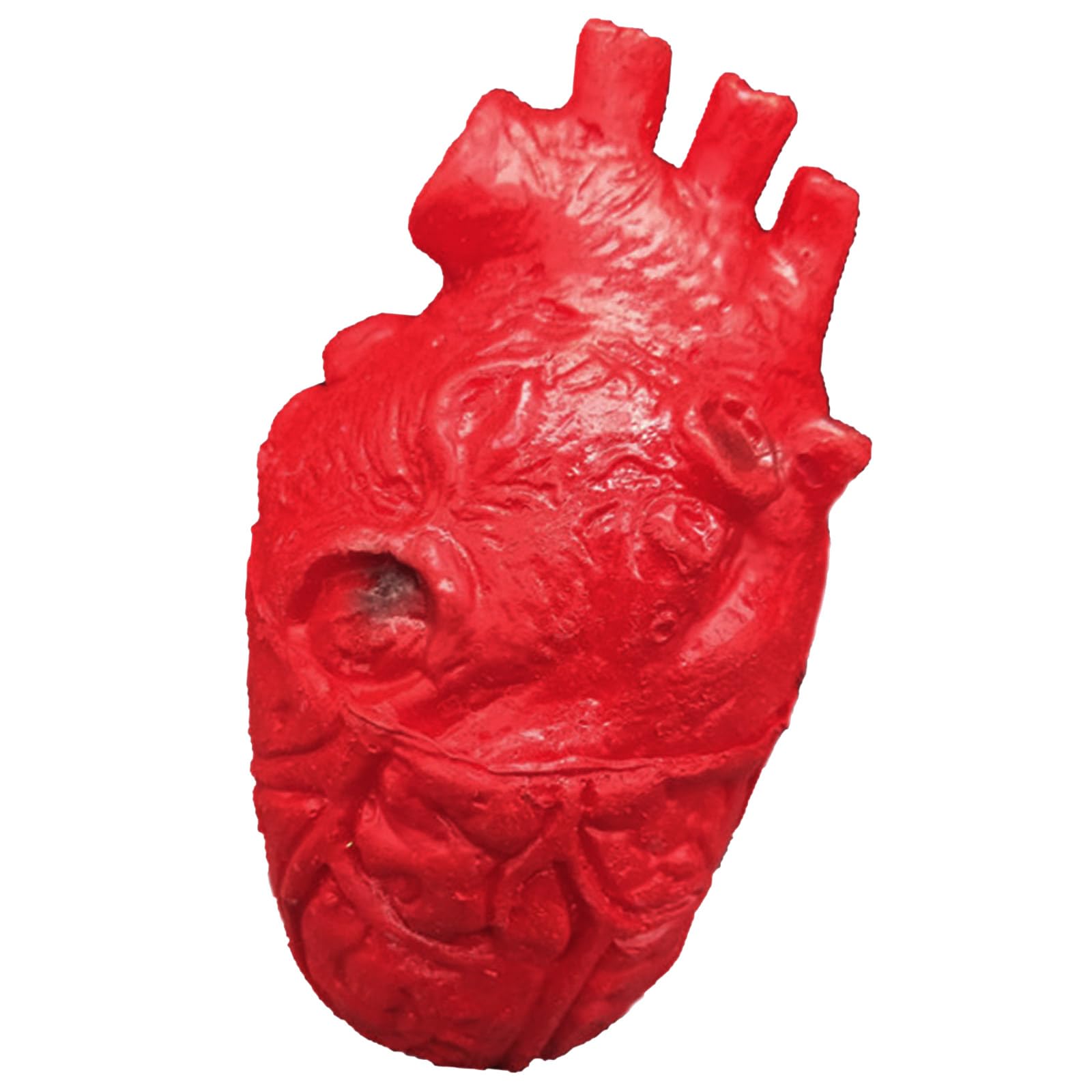 Buxuaaaa Realistic Heart Props for Halloween Party Decorations and Scary Eerie Model Haunting House Accessories Horror Party Props