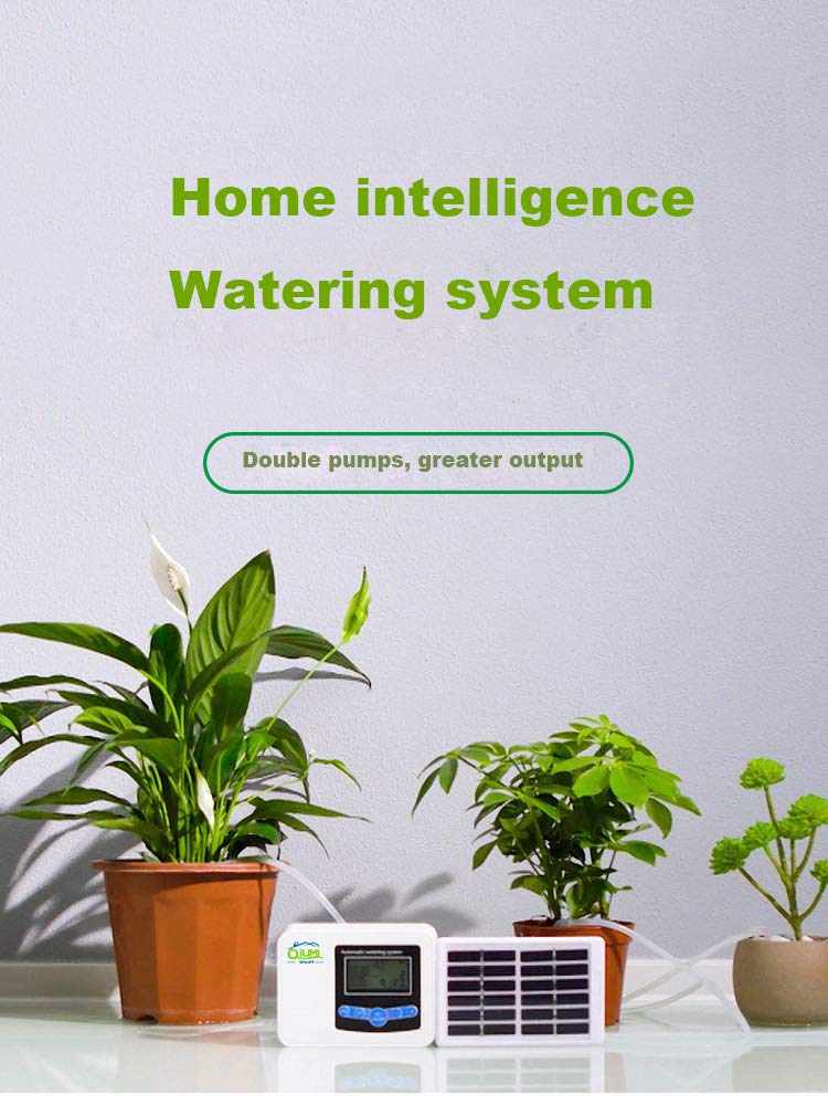 Controller automatico dell'acqua da giardino, prato, fiori da giardino, controller di irrigazione del balcone Irrigazione intelligente per giardino domestico Solare (doppia pompa)