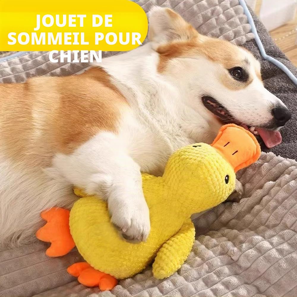 Speedy Panther Jouets en peluche pour petits chiens, jouets couineurs en forme de canard, jouet doux pour chiots de petite et moyenne taille – 25 cm