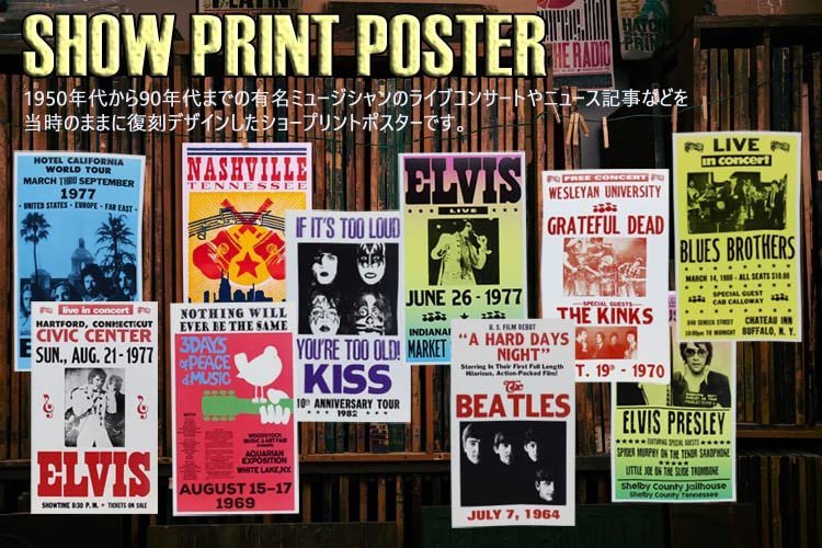 Amazon.co.jp: 額入りバンドポスター JIM MORRISON THE DOORS ジム