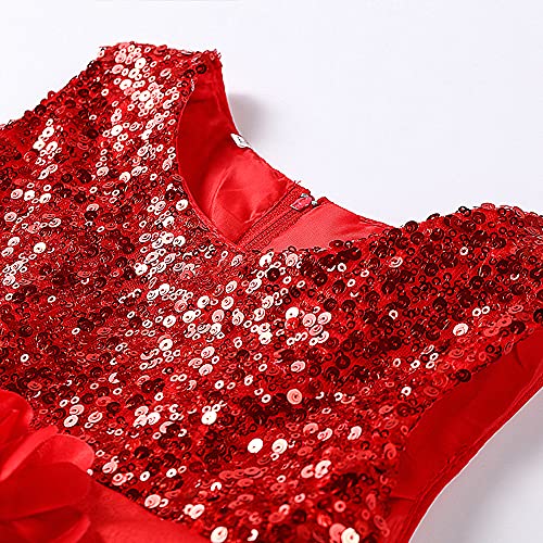 Flower Girls Sequin Party Dress Mesh Tulle Pageant Lace Ball Gown Prom3