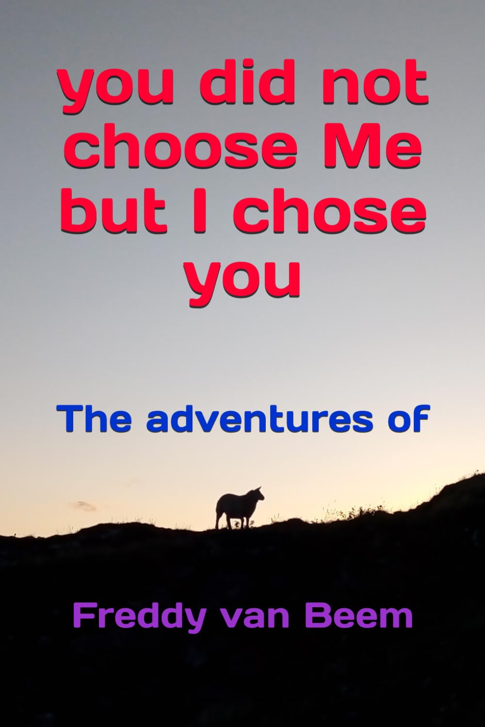 you did not choose Me but I chose you: The adventures of