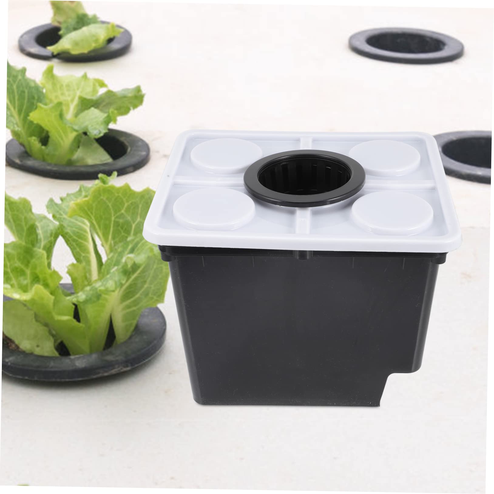 Secchio Idroponico senza Terriccio Nero in Plastica per Coltivazione | Sistema Pratico per Piante Verdi e Fiori, Uso in Vivaio e Hotel, Vaso per Crescita in Serra