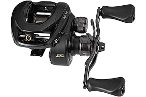 Lew's BB1 Pro Baitcast Fishing Reel: Precision Casting for Anglers