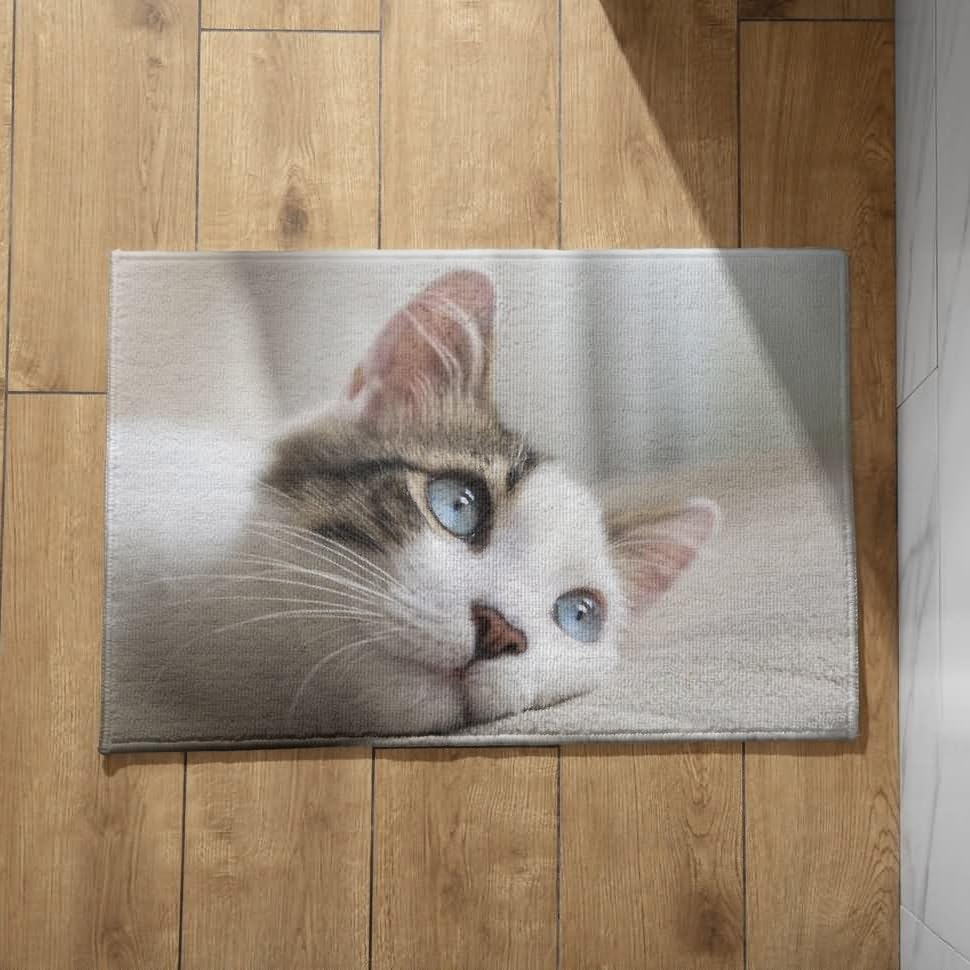 Tapis de porte d'entrée extérieur CEVAN grand paillasson rectangulaire 50x80cm pour salle de bain