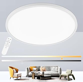 20 Inch Large Flush Mount Ceiling Light Fixture, Dimmable with Remote Control, White, Ultra Thin, 48W 4800Lumen, for Bedroom, Living Room, Kitchen, Dining Room, Home Office