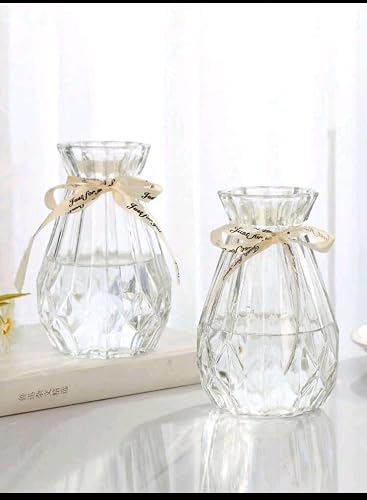 Transparent Glass Flower Vase – Modern Decorative Floral Vase for Living Room, Bedroom, Office, Dining Table, Home & Wedding Centerpiece.