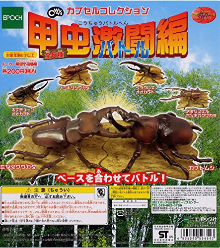 Beetles Rogue Series lot de 6 coléoptères pour décorer un bureau de passionné