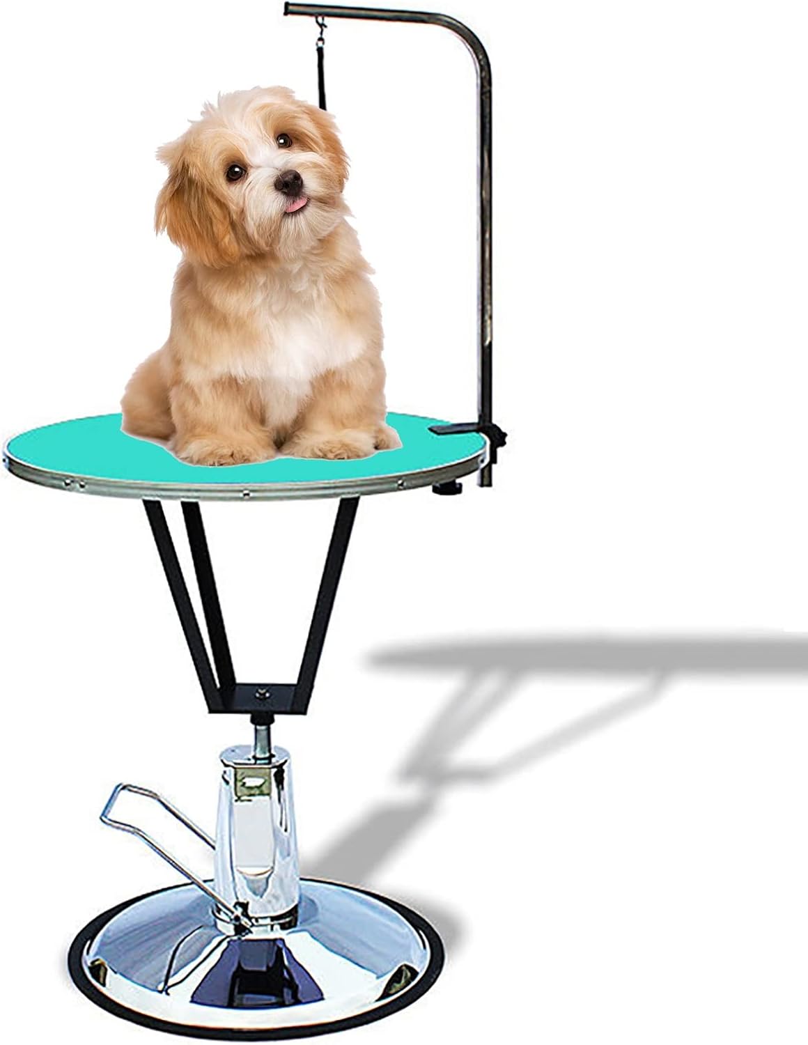Hydraulic Lift Pet Dog GroomGrooming Table for Dogs&Cats,HHeight Adjustable with Overhead Arm, Clamps,Grooming Noose (Color : Black) (Green)