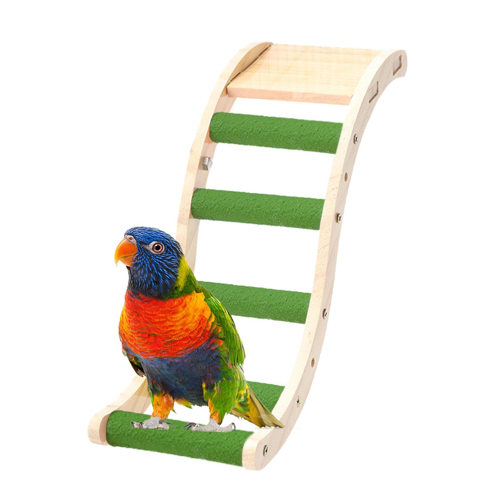 Amazon.co.jp: 広葉樹の鳥はしご, 写真インコ用バードスタンドおもちゃ