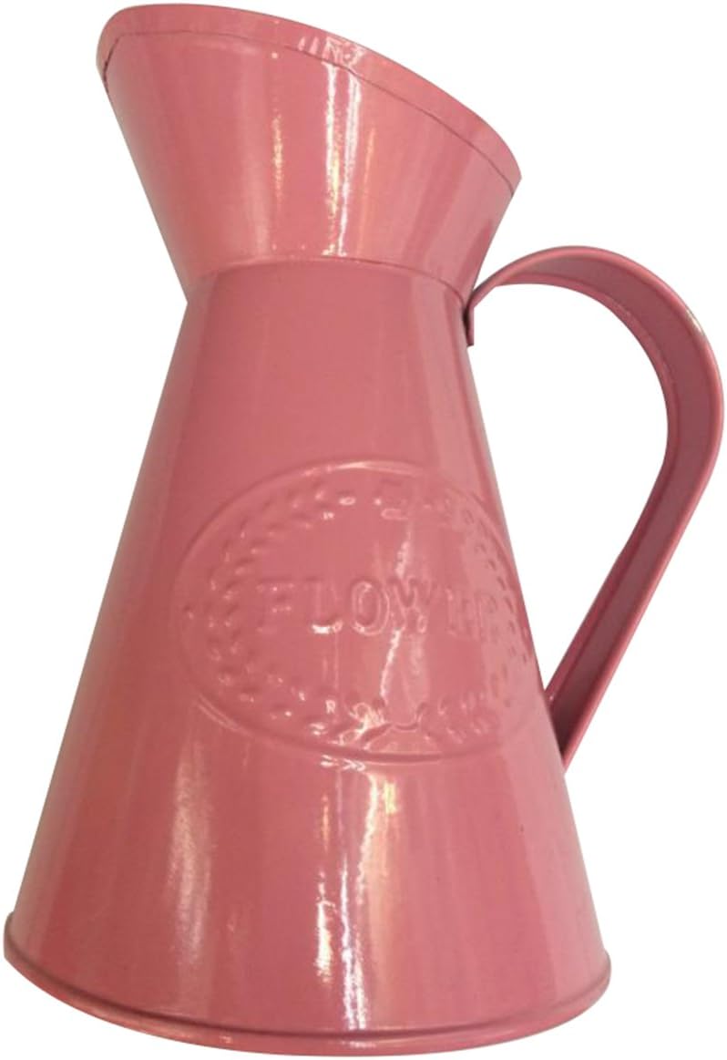 Chytaii Metal Vase Shabby Chic Vase for Flowers Plants Decorative Jug Pitcher Vase Vintage France Style Vase Planter Home Decoration
