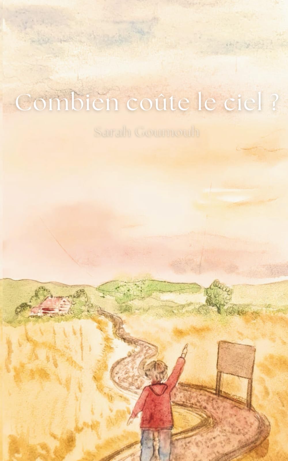 Combien coûte le ciel ?