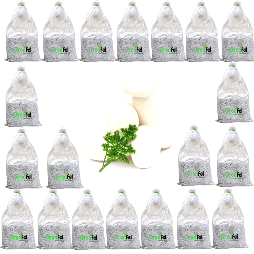 See full amazon price history chart for -Mushroom 4KG White Milky Mushrooms 1st Generation Spawn/Seeds Mycelium Spores Edible CO2 Variety -Mushroom 4KG White Milky Mushrooms 1st Generation Spawn/Seeds Mycelium Spores Edible CO2 Variety (B0BY9FQMRY) Amazon Price History, Amazon Price Tracker