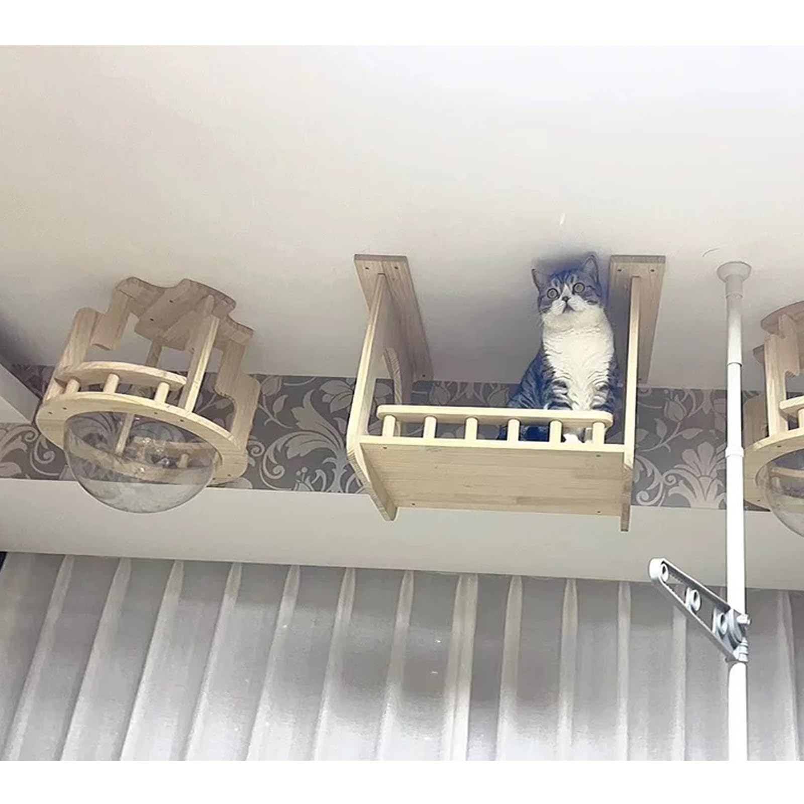 Katzen Kletterwand, Katzenmöbel Wand, Katzen Wand Klettern, Wandregale für Katzen An Der Decke, mit 1 Katzenbett und 1 Plankenweg