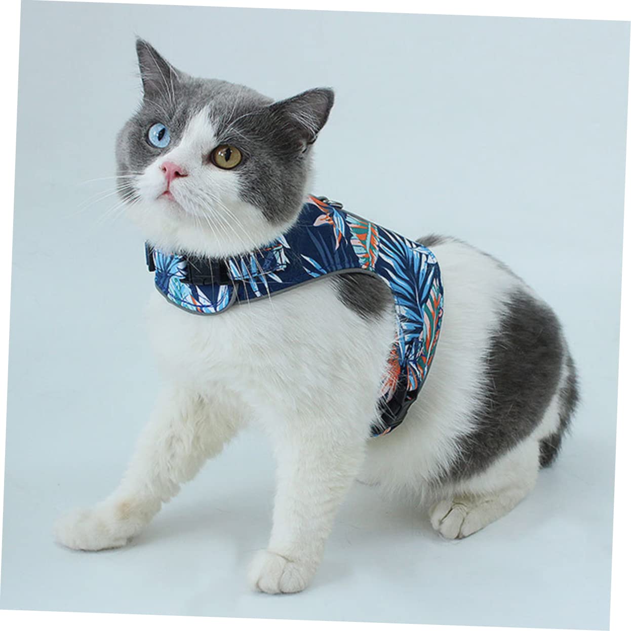 Didiseaon 3sets Pettorina Cat Luminosa e Traspirante Con Guinzaglio Per Gatti Piccoli e Medi Design Riflettente Per Passeggiate Notturne Comoda e Sicura Per Tuo Felino