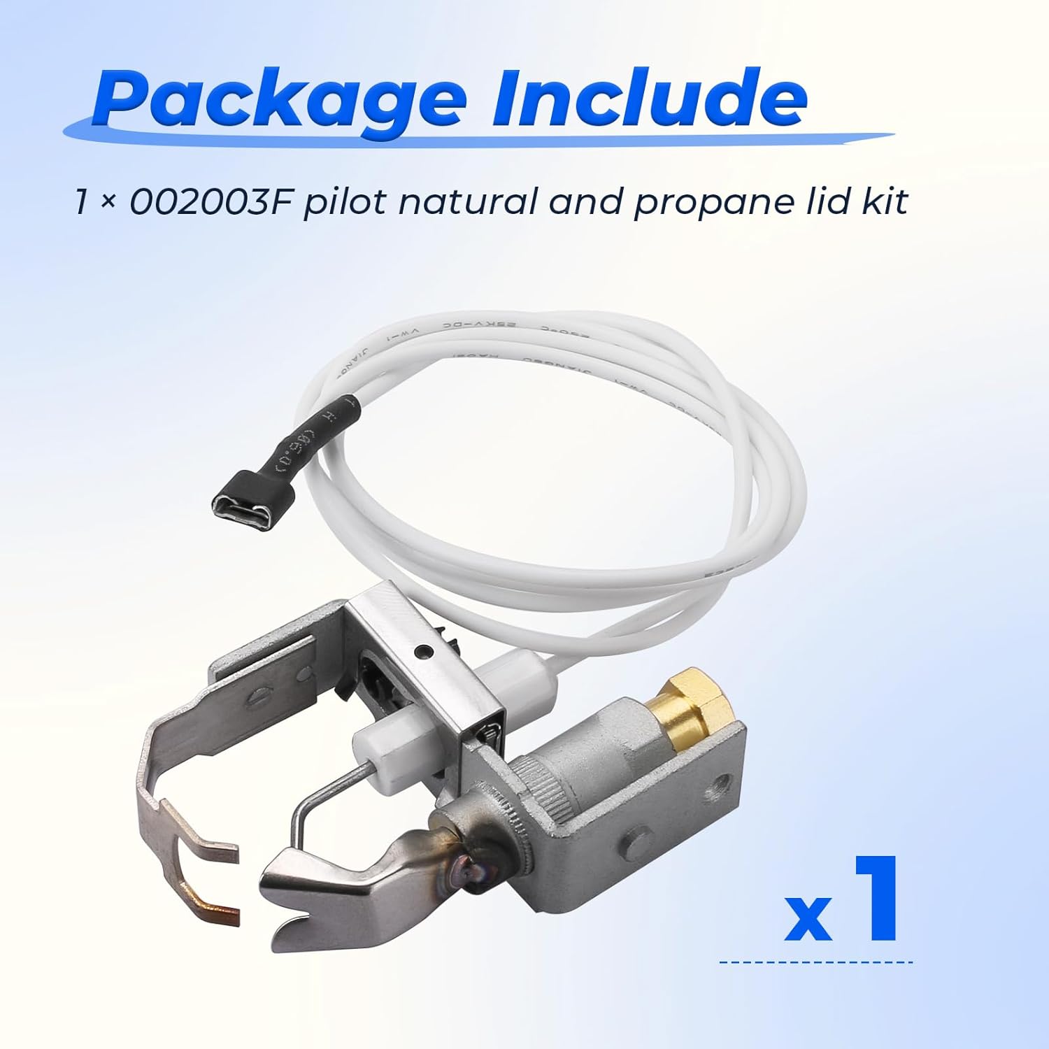 002003F Natural/Propane Pilot Lid Compatible with Raypak Pool Heater Propane Pilot Assembly, Pool & Spa Heater Replacement Part Fit for Raypak 106A 206A 266A 336A 405B 406A R403 RP2100 R156A