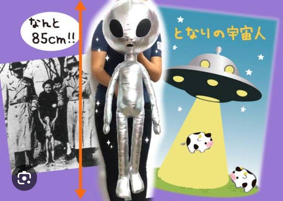 Amazon.co.jp: となりの宇宙人 ぬいぐるみ シルバー BIGぬいぐるみ