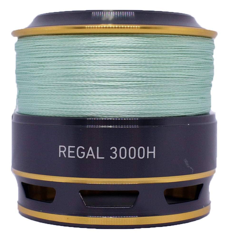 パーツDAIWA 23SALTIGA5000-XH 純正スプール組 【傷あり】 Amazon | 【ダイワ・SLPワークス純正】23ソルティガ ブルー