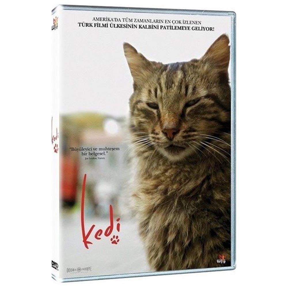Kedi