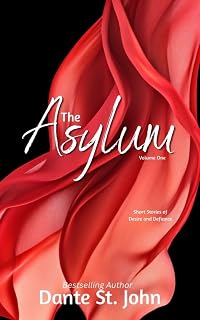 The Asylum: Erotic Stories of Desire and Defiance