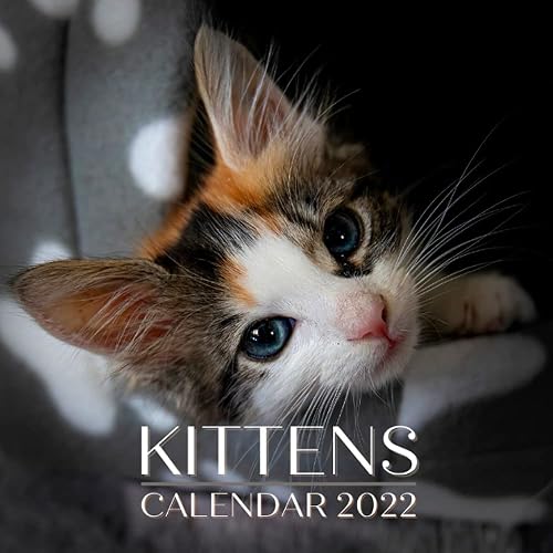 Kittens Calendar 2022: September 2021 - December 2022 Monthly Planner Mini Calendar With Inspirational Quotes