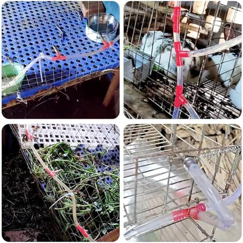 Suministro continuo de agua Lagomorph con botellas impermeables de aseo 3