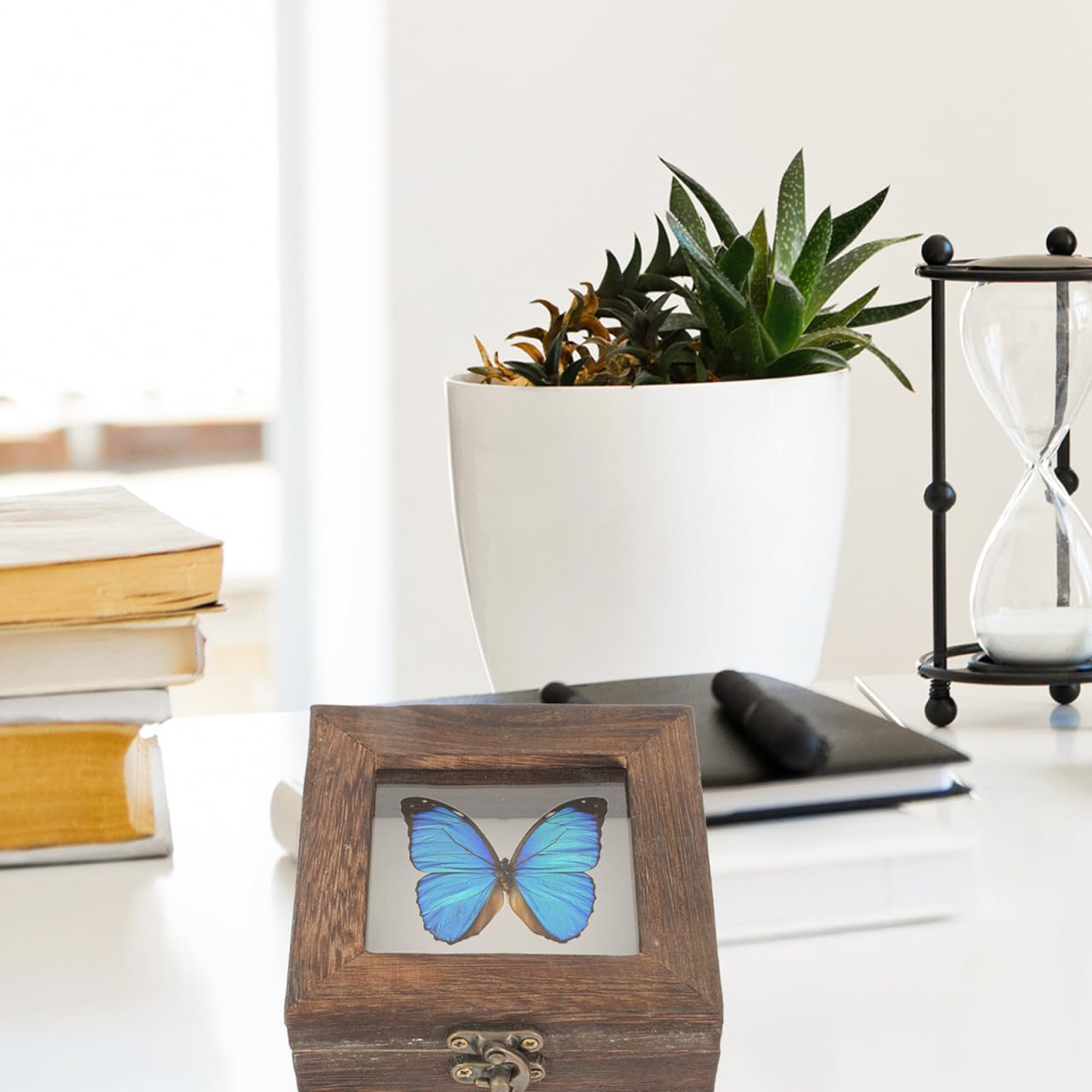 Retro Schmetterlings Vitrine Holzbox Mit Klarsichtdeckel 10X10X4.5Cm – Insekten Displaybox Für Sammlerstücke Schmuck Aufbewahrung Und Dekoration