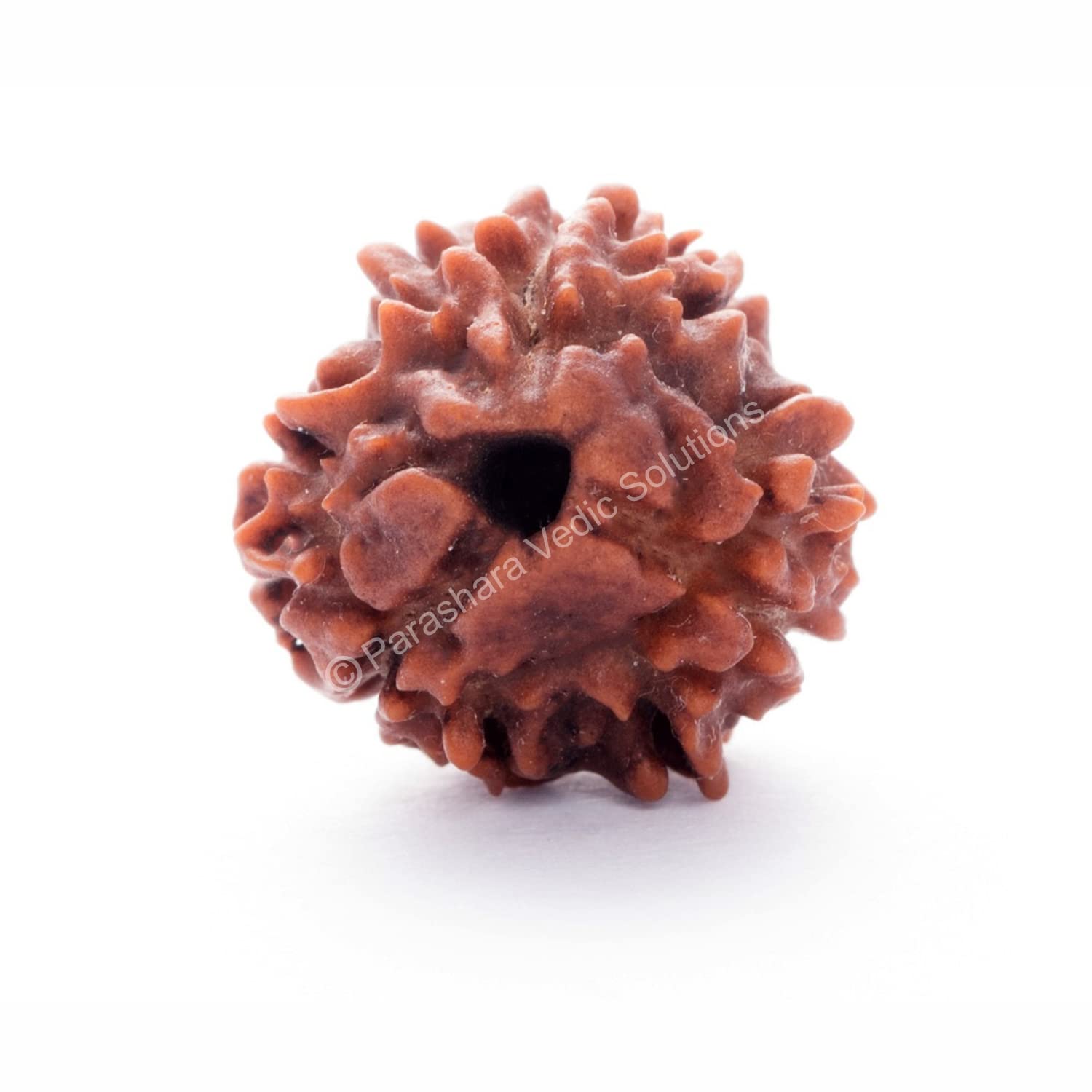 ARKAM Three Mukhi Rudraksha Certified/Original Nepali 3 Mukhi Rudraksh/Natural 3 faced Rudraksha (Brown) with Certificate and Puja Instructions (B09MKS466C) Amazon Price History, Amazon Price Tracker