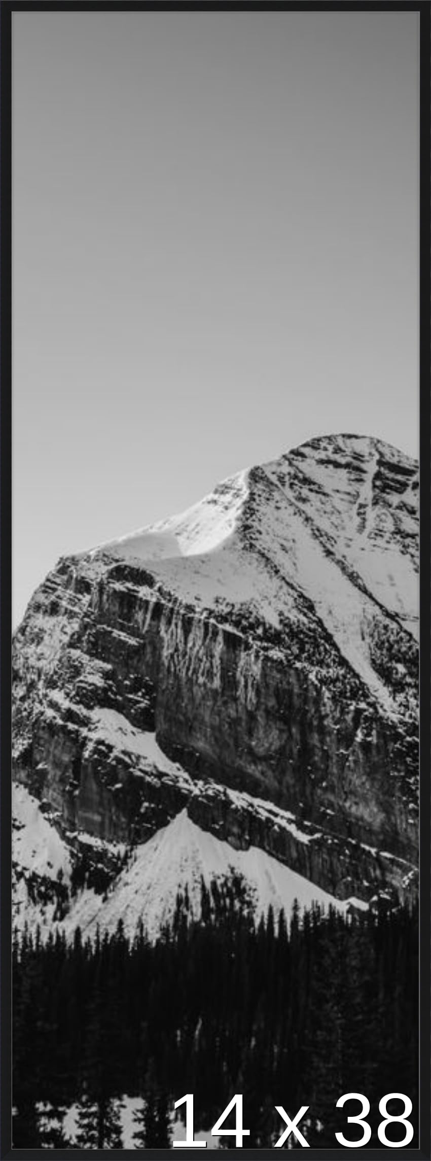 Frame It Easy 14 1/2 x 38 1/2 Satin Black Metal Frame (Ashford) 14.5x38.5 inches