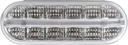 Miniatura 3 de GG Grand General 74851 Luz sellada (Oval Prime Spyder ámbartransparente 14 LED)