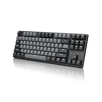 Durgod Taurus K320 TKL Mechanical Gaming Keyboard - 87 Keys - Double Shot PBT - NKRO - USB Type C (Cherry Speed Silver, Space Grey)