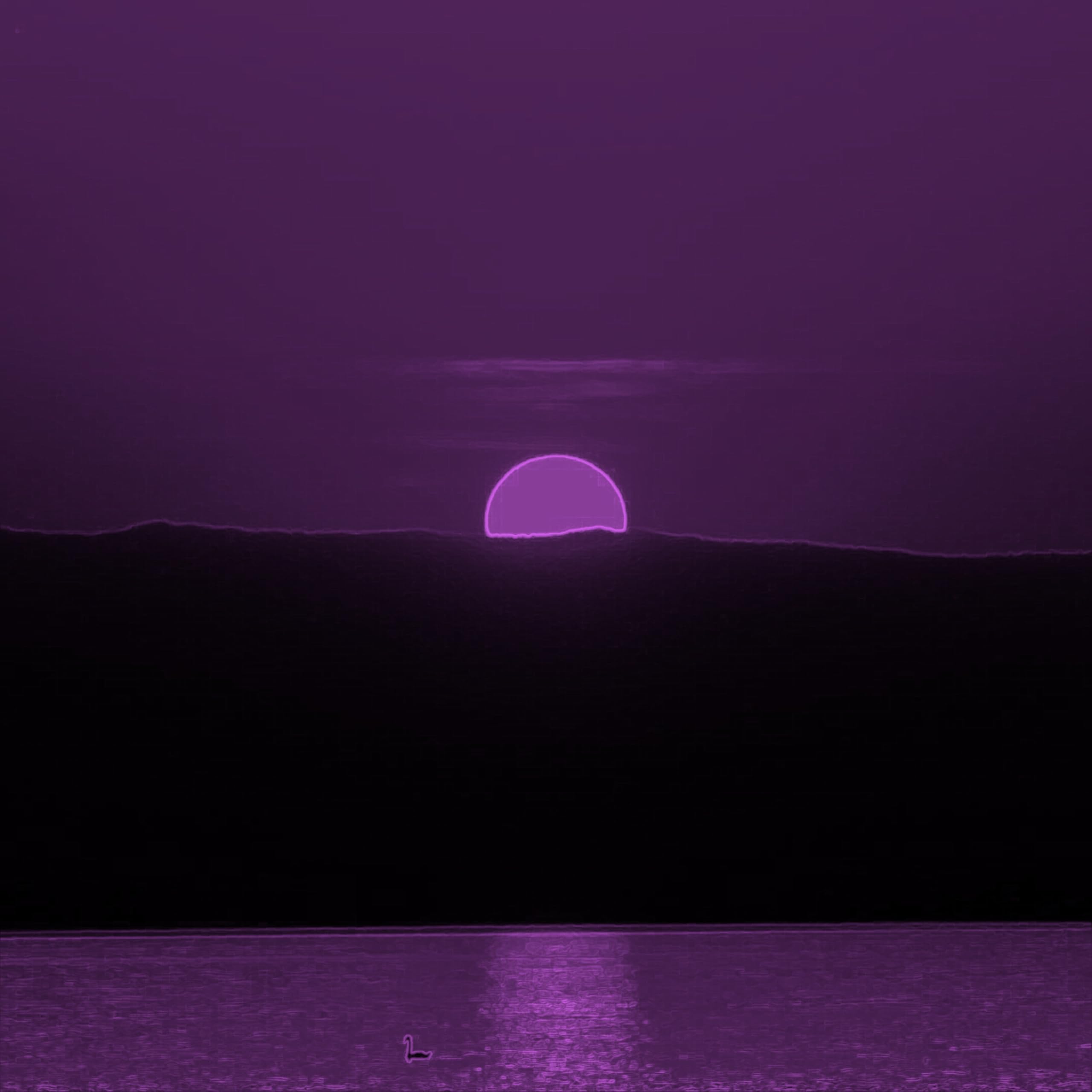 フォンクSWGXXXZXC666