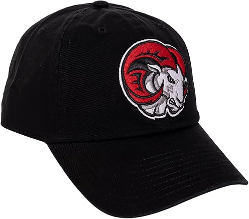 Desert Cactus Winston-Salem State University Gorra de béisbol Rams WSSU con ala bordada, correa de tela ajustable para adultos (estilo A) negro