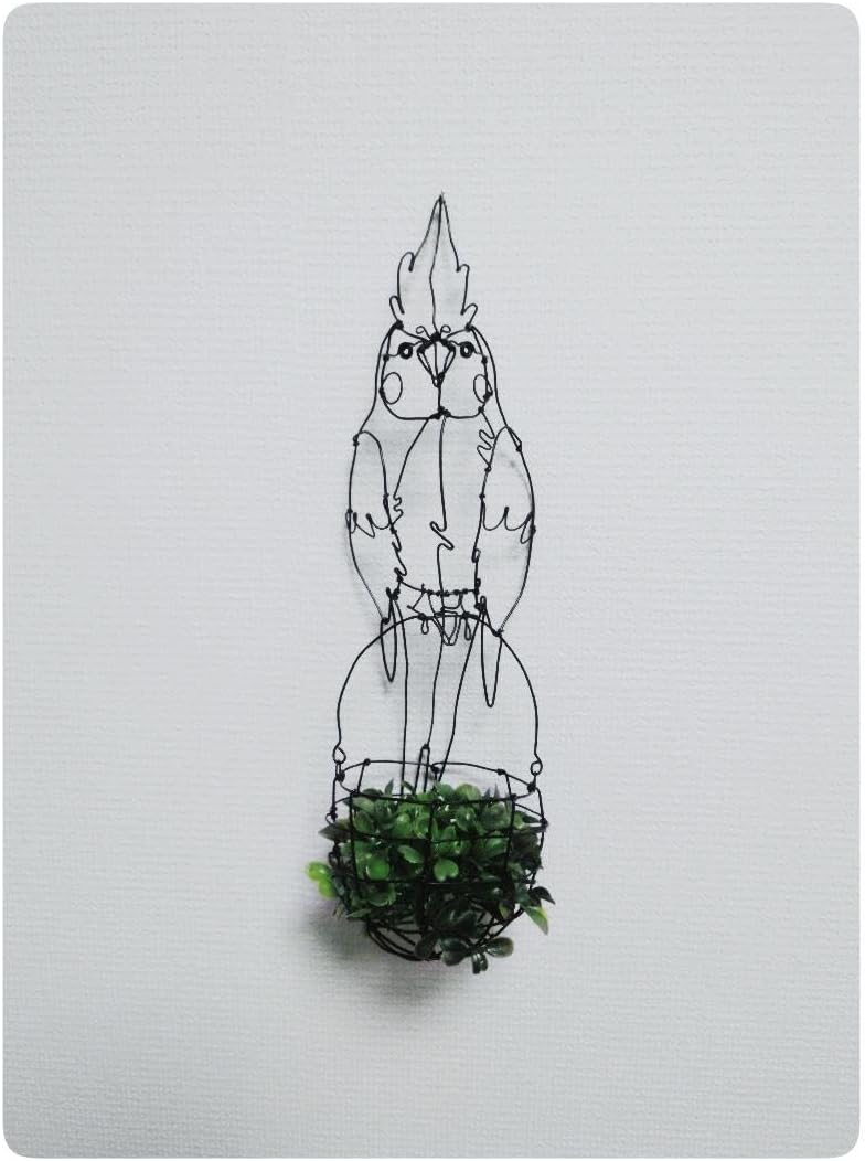 鳩ページ10/3まで Amazon | MAAOBR 鳩かご 鶏のケージ 屋外 鳩小屋 鳩捕り籠 鉄製ケージ