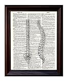 Fresh Prints of CT The Human Vertebrae/Anatomical Spine in Black Ink - Printed on Upcycled Vintage Dictionary Paper - 8