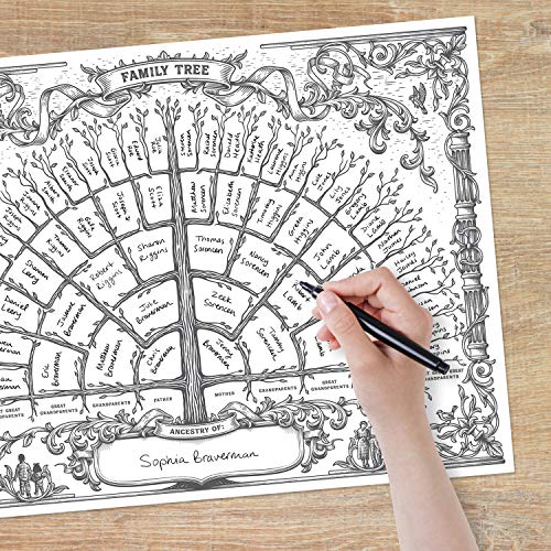 Palace Learning 3PK-FAMILY-TREE-V1 3 Pack - Family Tree Chart To Fill In- 6 Generation Genealogy Poster thumb #5