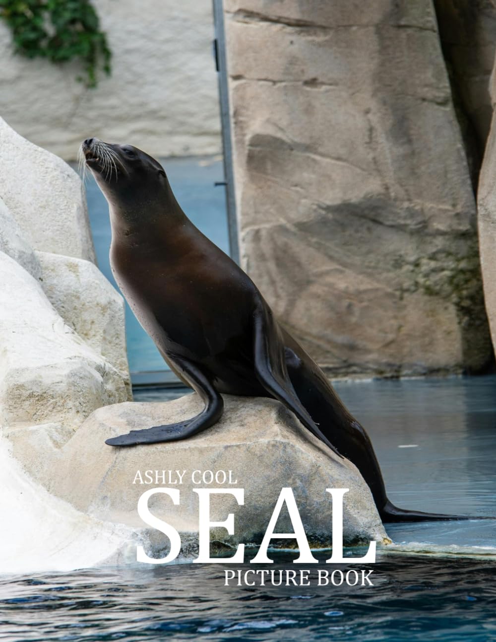 Seal: Exploring the World of Seals: A Visual Guide to Marine Mammals and Their Habitats